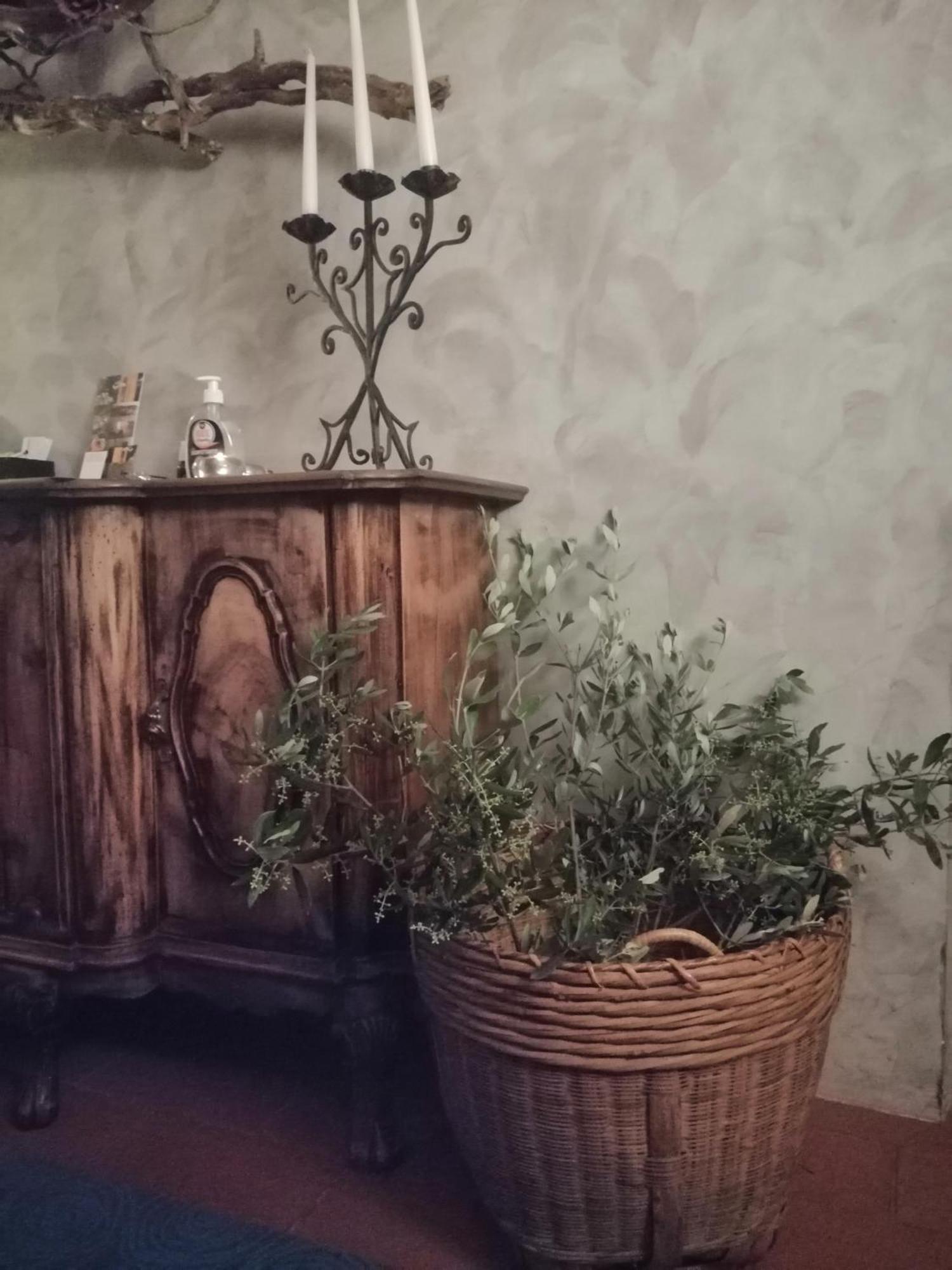 Corte Di Maggio B&B Country House Imola Bagian luar foto