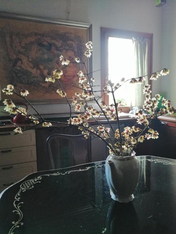 Corte Di Maggio B&B Country House Imola Bagian luar foto