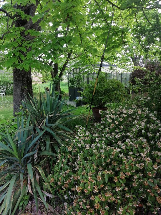 Corte Di Maggio B&B Country House Imola Bagian luar foto
