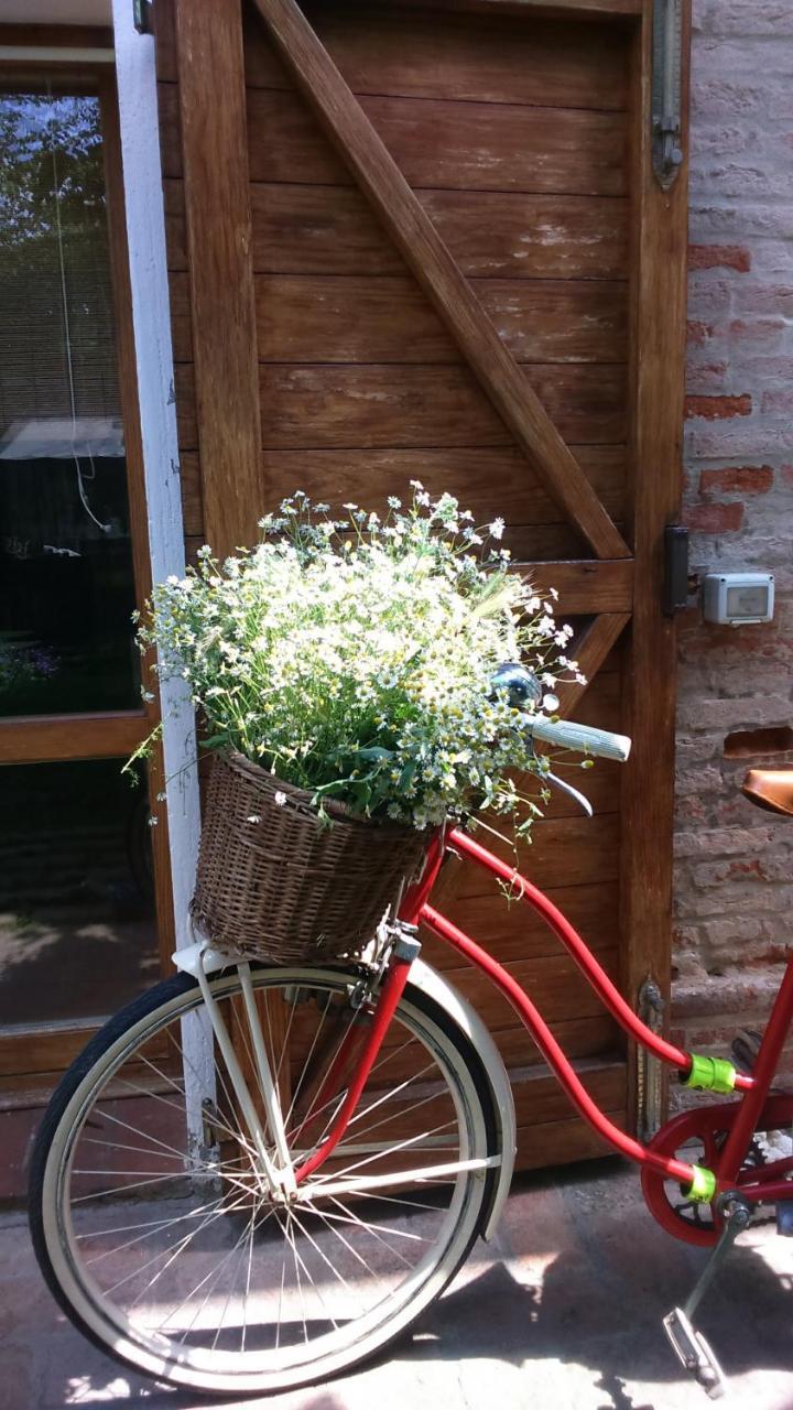 Corte Di Maggio B&B Country House Imola Bagian luar foto