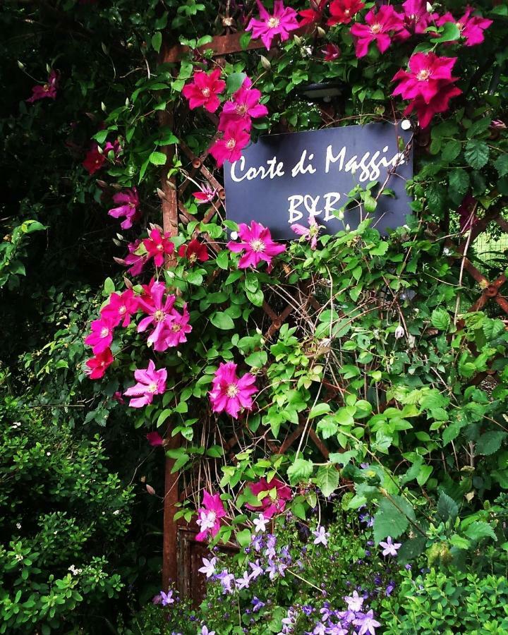Corte Di Maggio B&B Country House Imola Bagian luar foto