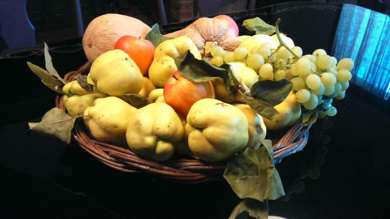 Corte Di Maggio B&B Country House Imola Bagian luar foto